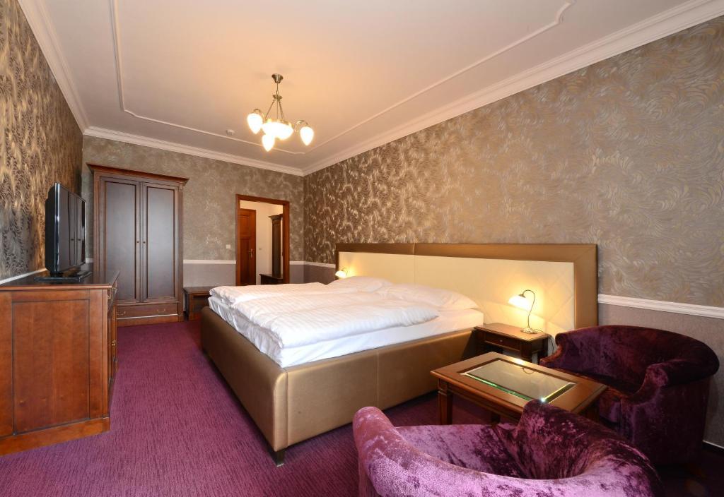 Hotel Gold Chotoviny 部屋 写真